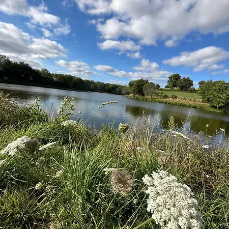 Simple Au L'etruyere Au